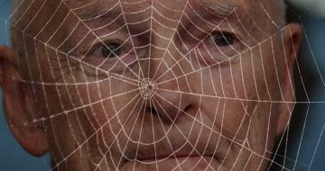 What a Web Theodore McCarrick Weaved