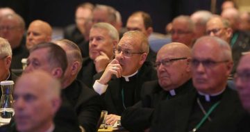 US Bishops’ Conference Sued for ‘Misleading’ Faithful on Peter's Pence Charity