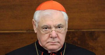 Pope Surrounded by Sycophants and Church Run According to Jesuit Order's Rules, Says Cardinal Müller