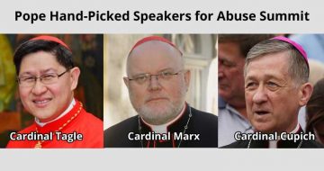 Pope Picks Liberal Cardinals Cupich, Marx, Tagle for Featured Talks at Vatican Abuse Summit