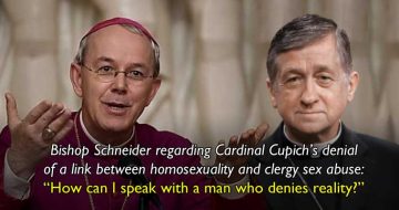 Interview With Bishop Athanasius Schneider