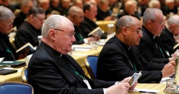 After Disappointing November Meeting, US Bishops Plan to Revisit Sex Abuse in June