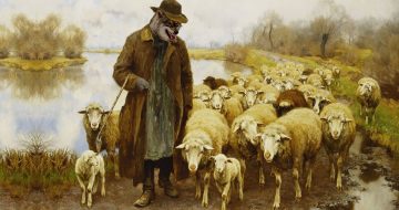 Wolves in Shepherd’s Clothing