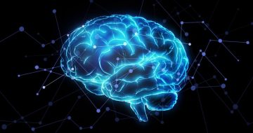 How Neuroscience Explains Sex Abuse and Vindicates … Prayer and Fasting