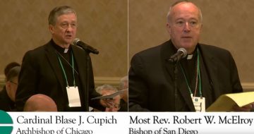 Led by Cupich and McElroy, 1-in-3 U.S. Bishops Vote AGAINST Calling Abortion ‘Pre-eminent’ Issue