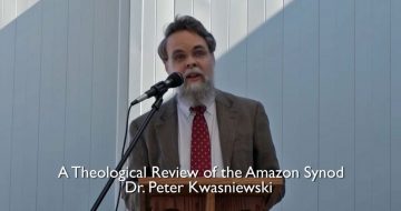 WATCH: A Fantastic Theological Review of the Amazon Synod