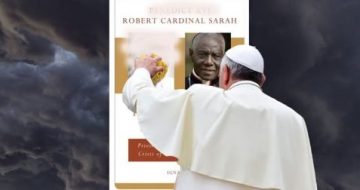 The Book Scrubbing Controversy