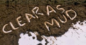 Vatican Finances: Clear As Mud