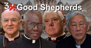 WORSE THAN DEATH: A Pandemic Warning from Cardinals Sarah, Müller, Zen, Abp. Viganò