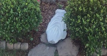 Statue of Virgin Mary Beheaded at Tennessee Parish
