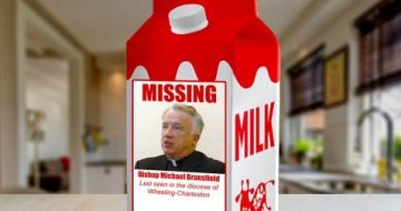Disgraced Bishop AWOL