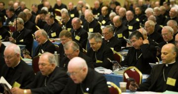 If Dioceses Can Opt-Out of Fiducia Supplians, Why Hasn't Your Bishop?