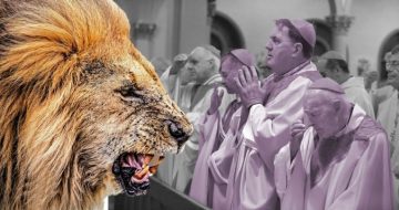 Lavender Bishops versus “Lions of the Church”