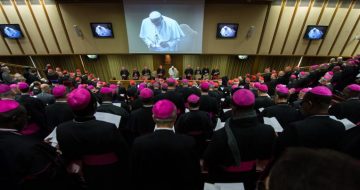 Proposal to the Bishops for the Synod on Synodality: FACE REALITY!