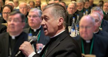 ONE MAD MOM: Bishops, I Want To See You Be BRAVE!