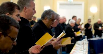 Assembly of U.S. Catholics Bishops Reveals an Ugly, Incompetent Bureaucracy