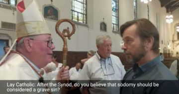 Pro-LGBT Cardinal Claims Pope Francis Is In ‘Full Agreement’ With His Stance