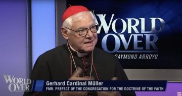 America’s Grave Sensus Fidei-less Opinions