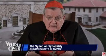 Cardinal Burke: ‘There Is No Clear Idea Of What Synodality Is’
