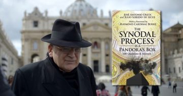 Cardinal Burke Drops Bombshell on Synod of ‘Ideology’ and ‘Schism’