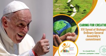 The Letter Kills, the Spirit Vivifies and the Synod Pollutes