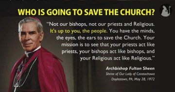 The Laity Will Not "Save" The Church