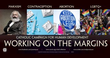 Lepanto Institute Just Sent This Message Regarding CCHD to all U.S. Bishops