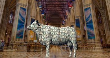 The Catholic Cash Cow