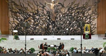 The Synod Long Game? Changing Structure to Change Doctrine