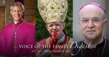 Bishops Strickland, Schneider and Viganò: A Few Essential Points