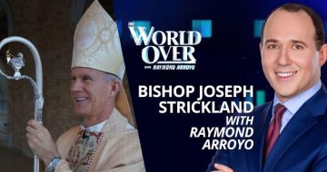 WATCH: Raymond Arroyo Hosts Bishop Strickland, Fr. Gerald Murray and Robert Royal