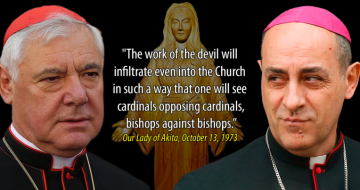 Cardinal Gerhard Müller Exposes a Crisis in Church Teaching