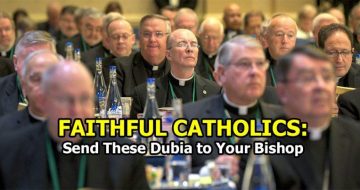 An Open Letter to Lay Catholics with Dubia for American and European Clergy
