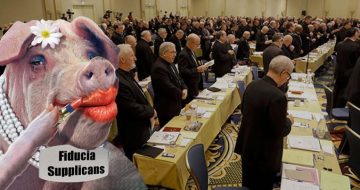 U.S. Bishops Try Putting Lipstick on a Pig
