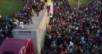 Catholic Teaching on Immigration: Integration and the Common Good