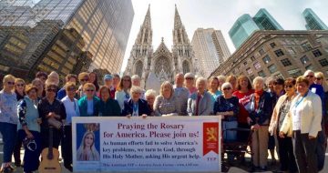 Reparation Rosary Rally at St. Patrick’s Cathedral - February 24 and 26