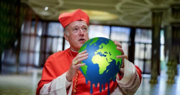 Cardinal McElroy Claims Pope's Climate Vision Not Getting Enough Attention from US Bishops