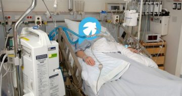 The Paulists on Life Support