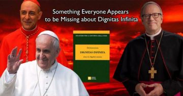 WATCH: Something Everyone (including Bishop Barron) Appears to be Missing about Dignitas Infinita
