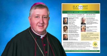 St. Louis Archdiocese Encourages Clergy to Attend Meeting of Pro-LGBT, Women’s Ordination Priests