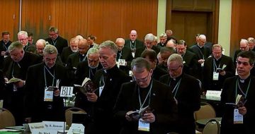 Is Anyone Surprised? U.S. Bishops Vote To Continue Scandal-Plagued, Soros Founded CCHD