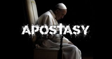 Are Bears Catholic? Does the Pope …