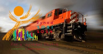 The Threat of a Runaway Synod