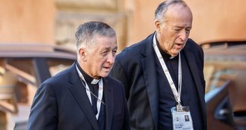Cardinals Cupich and McElroy Call on US Bishops' Conference to be More ‘Synodal’ (whatever that means)