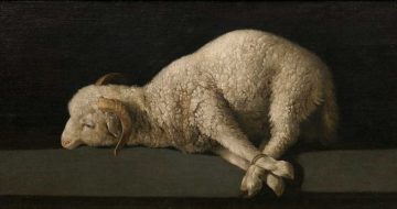 The Wages of Sin Paid by the Innocent