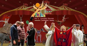 How ‘Special Interest Advocacy’ Works at the Synod Circus