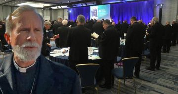 Bishop Strickland's Open Letter: What Will It Take?