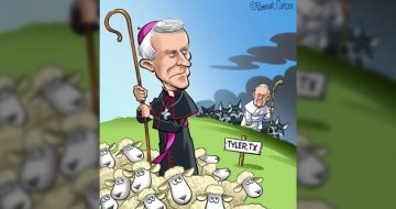 Who Will Safeguard the Sheep?