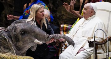 The Bergoglian Circus Continues in Rome