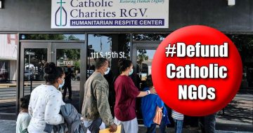 Catholic Illegal Immigration Stories